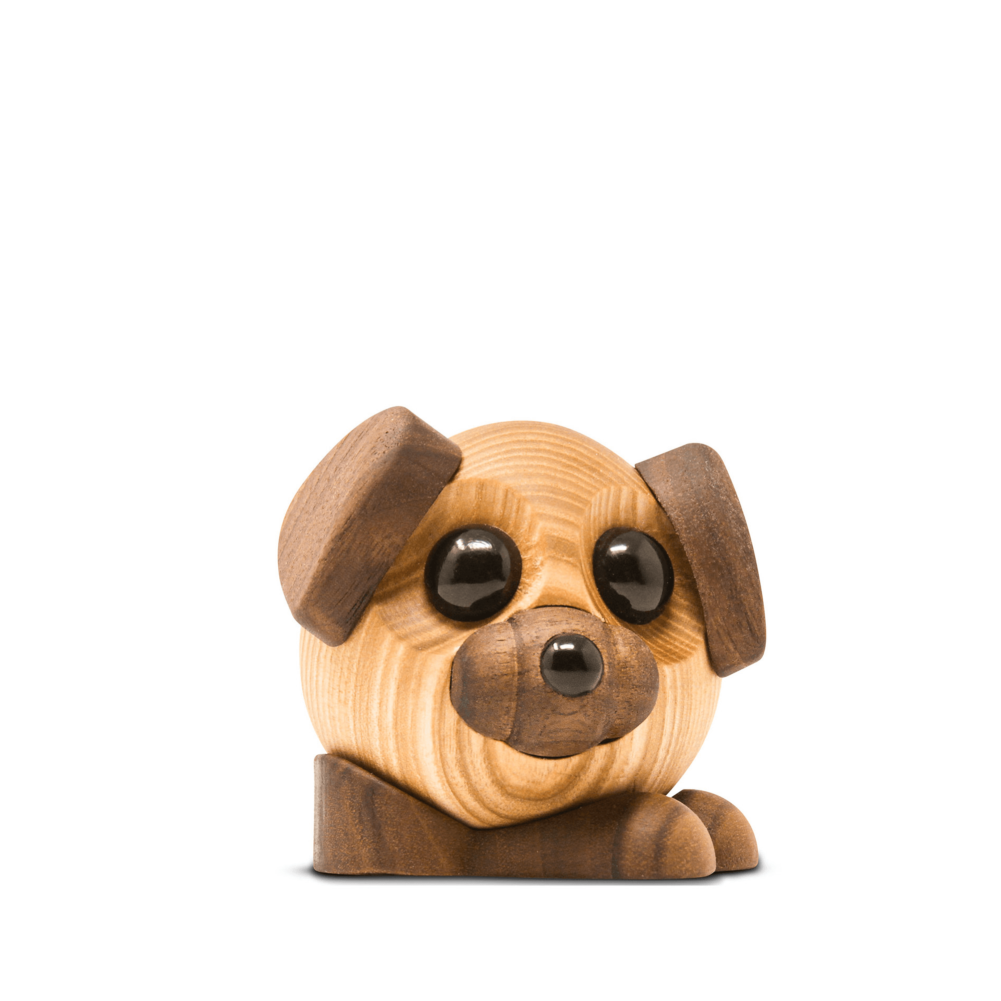 Buddy - den store hund