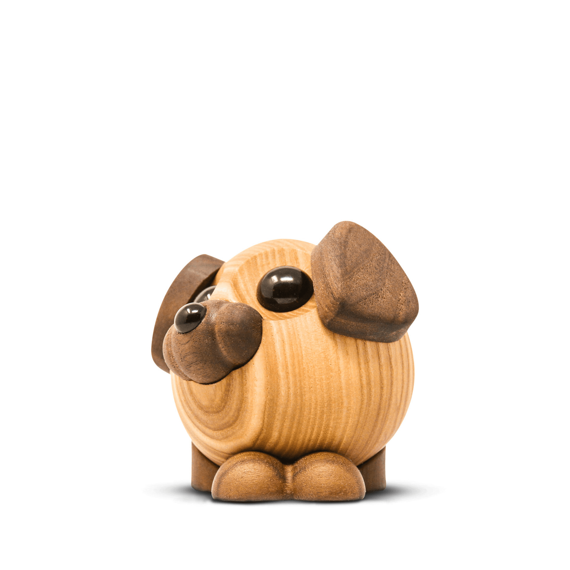 Buddy - den store hund