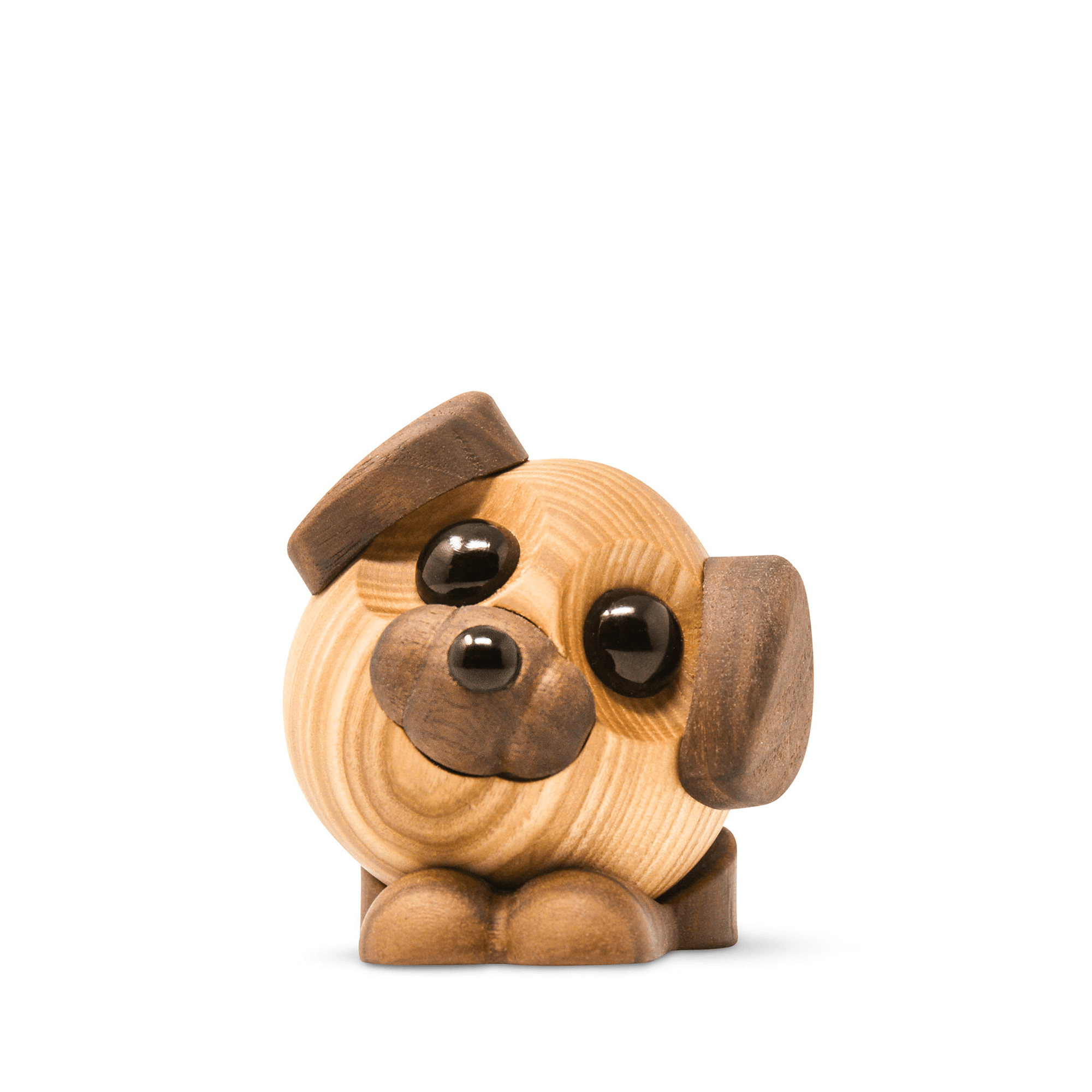 Buddy - den store hund