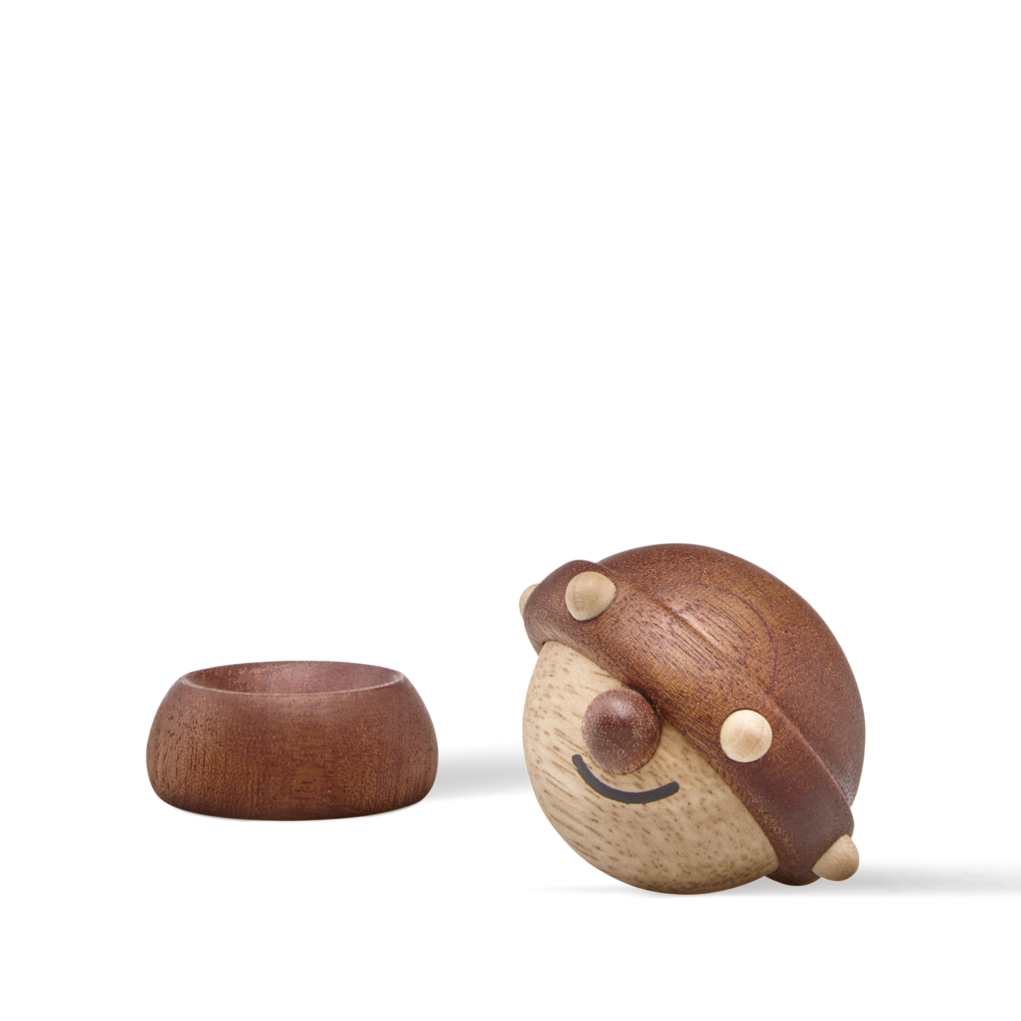 
                  
                    Harald the small Viking
                  
                