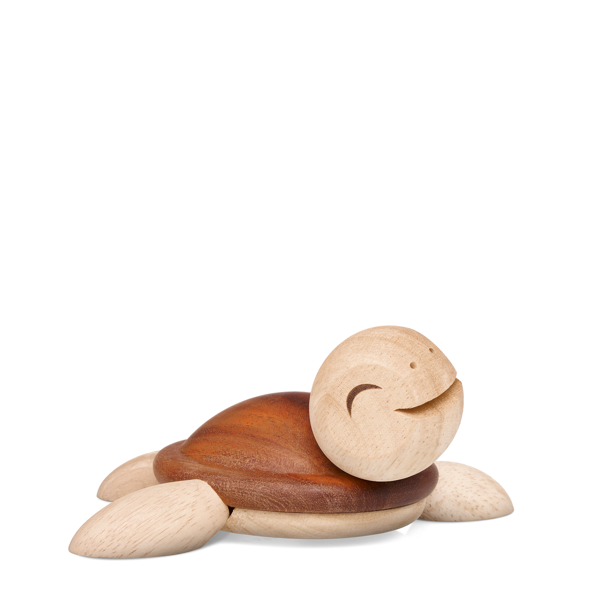 Henry, stor Skildpadde